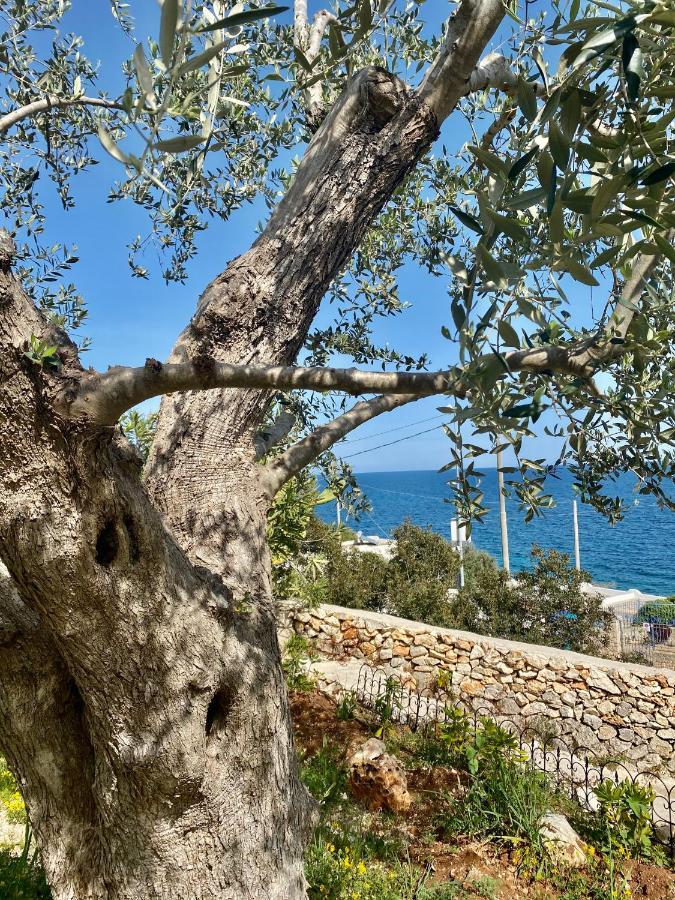 Stone Home - Sea & Landscape มาริตติมา ภายนอก รูปภาพ
